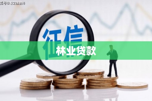 盐埕林业贷款