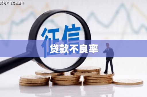 盐埕贷款不良率
