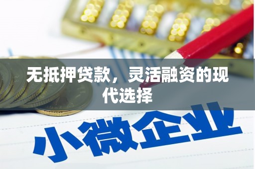 盐埕无抵押贷款，灵活融资的现代选择