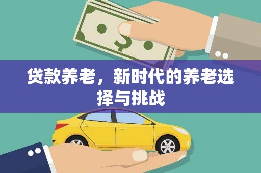 盐埕贷款养老，新时代的养老选择与挑战