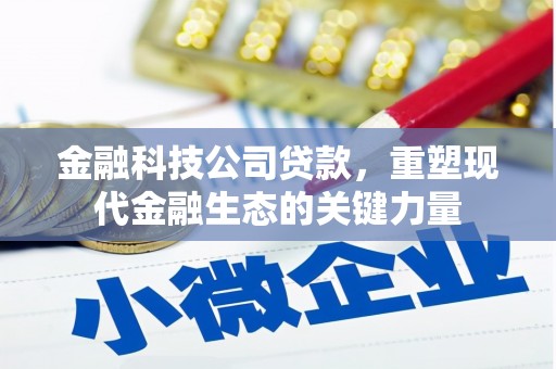 盐埕金融科技公司贷款，重塑现代金融生态的关键力量