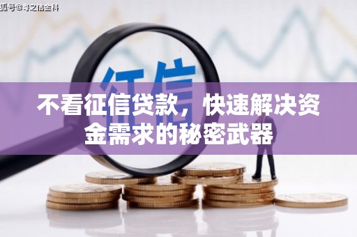 盐埕不看征信贷款，快速解决资金需求的秘密武器