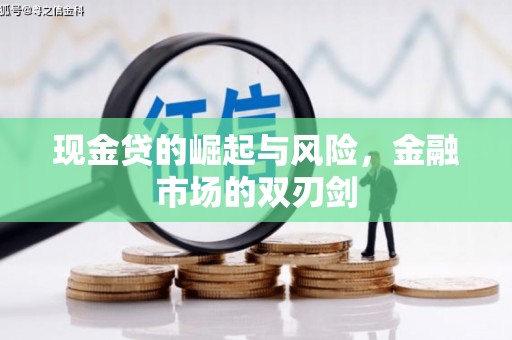 盐埕现金贷的崛起与风险，金融市场的双刃剑