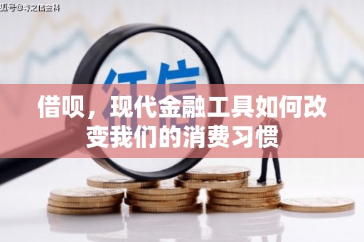 盐埕借呗，现代金融工具如何改变我们的消费习惯