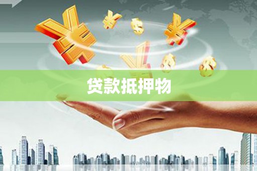 盐埕贷款抵押物