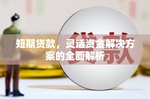 盐埕短期贷款，灵活资金解决方案的全面解析