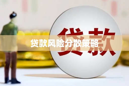 盐埕贷款风险分散策略