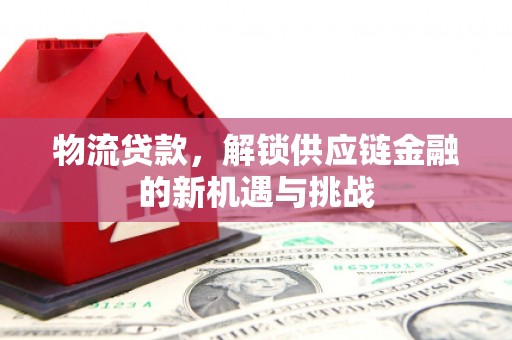 盐埕物流贷款，解锁供应链金融的新机遇与挑战