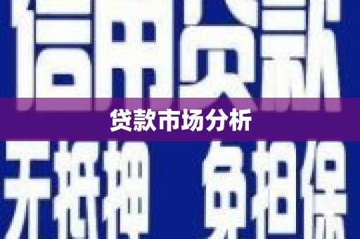 盐埕贷款市场分析