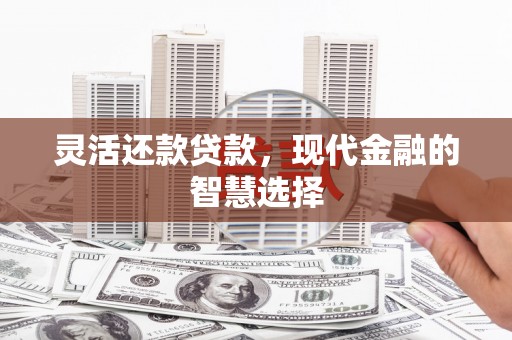 盐埕灵活还款贷款，现代金融的智慧选择