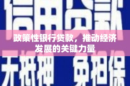 盐埕政策性银行贷款，推动经济发展的关键力量