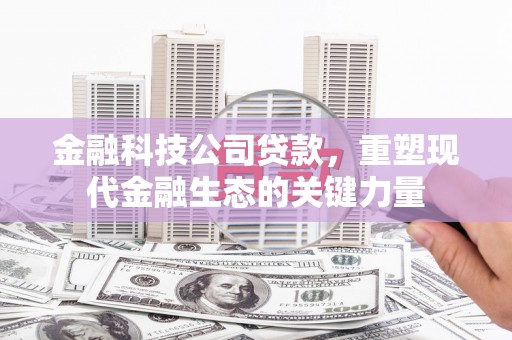 盐埕金融科技公司贷款，重塑现代金融生态的关键力量