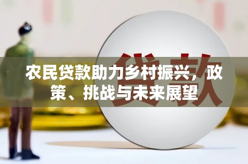 盐埕农民贷款助力乡村振兴，政策、挑战与未来展望