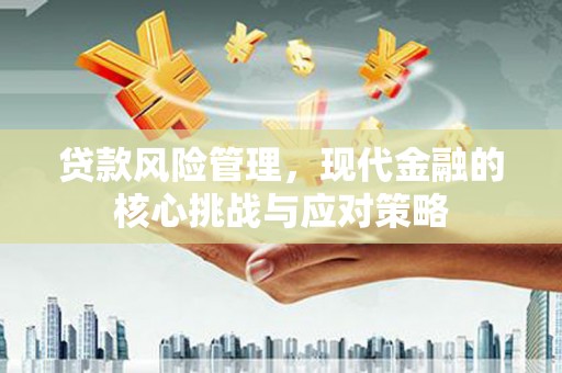 盐埕贷款风险管理，现代金融的核心挑战与应对策略