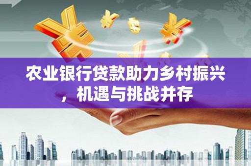 盐埕农业银行贷款助力乡村振兴，机遇与挑战并存