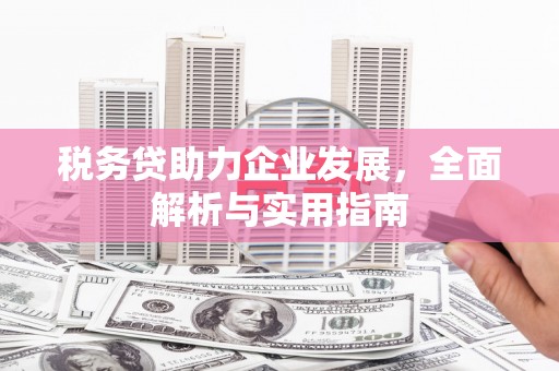 盐埕税务贷助力企业发展，全面解析与实用指南