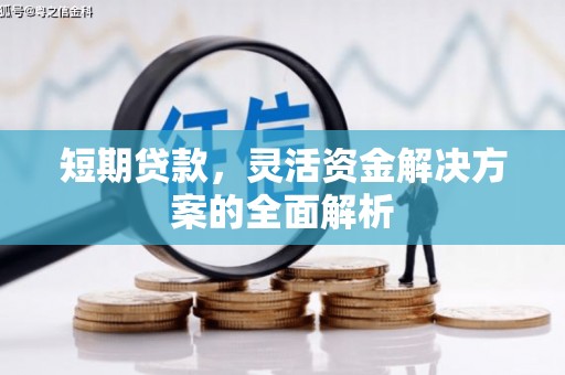 盐埕短期贷款，灵活资金解决方案的全面解析
