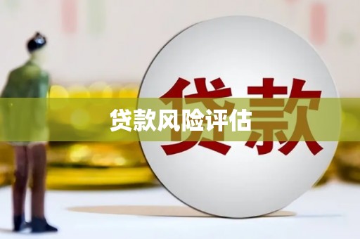 盐埕贷款风险评估