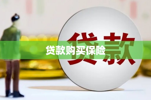 盐埕贷款购买保险