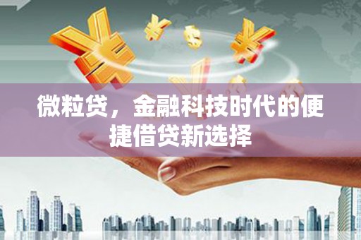 盐埕微粒贷，金融科技时代的便捷借贷新选择