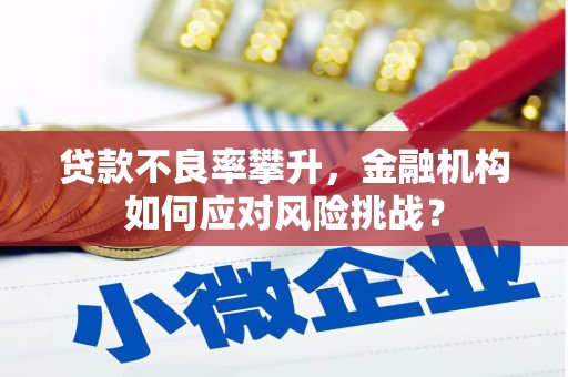 盐埕贷款不良率攀升，金融机构如何应对风险挑战？