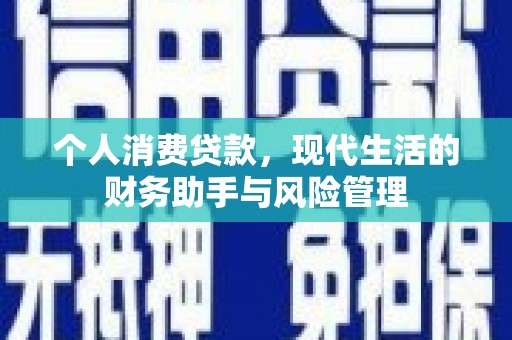 盐埕个人消费贷款，现代生活的财务助手与风险管理