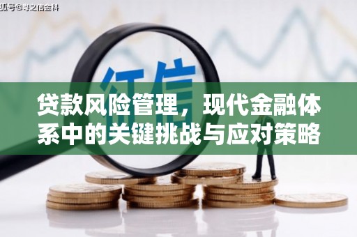 盐埕贷款风险管理，现代金融体系中的关键挑战与应对策略