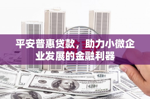 盐埕平安普惠贷款，助力小微企业发展的金融利器