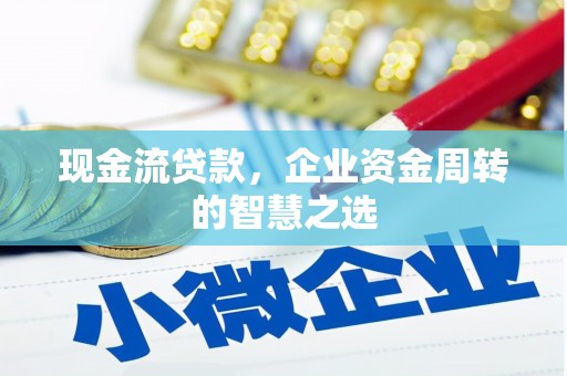 盐埕现金流贷款，企业资金周转的智慧之选