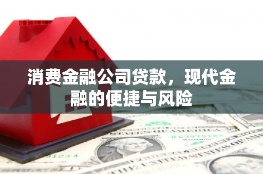 盐埕消费金融公司贷款，现代金融的便捷与风险