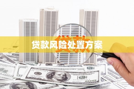 盐埕贷款风险处置方案