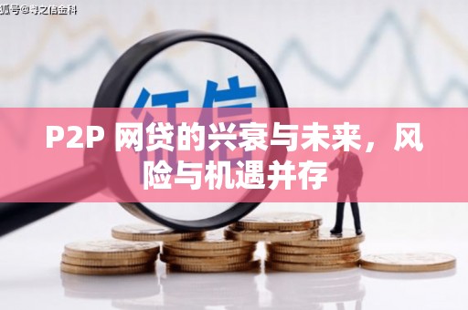 盐埕P2P 网贷的兴衰与未来，风险与机遇并存