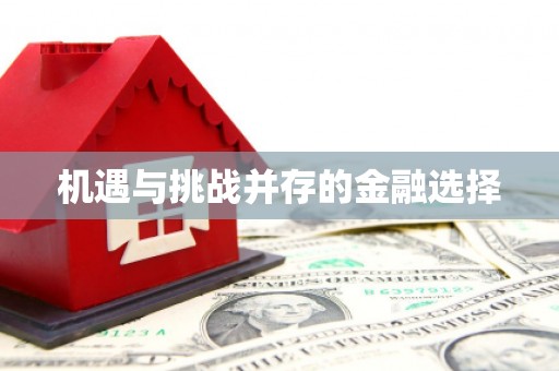 盐埕机遇与挑战并存的金融选择