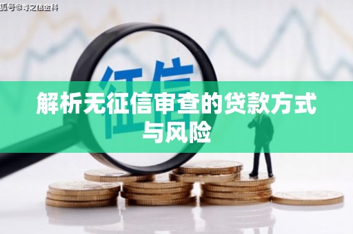 盐埕解析无征信审查的贷款方式与风险