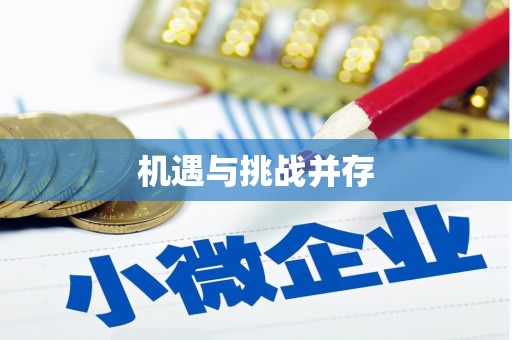 盐埕机遇与挑战并存