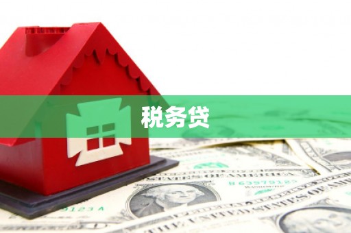 盐埕税务贷