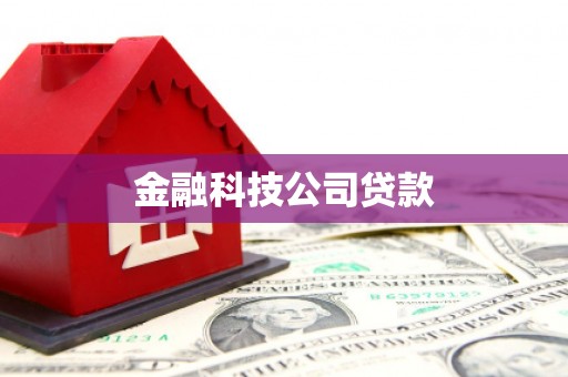 盐埕金融科技公司贷款