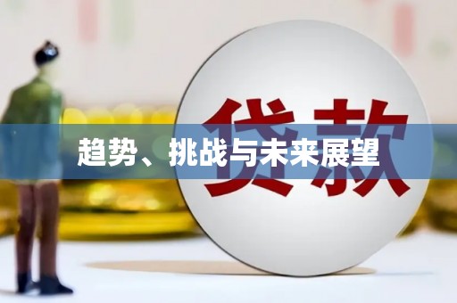 盐埕趋势、挑战与未来展望