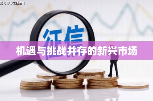 盐埕机遇与挑战并存的新兴市场