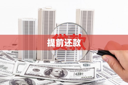 盐埕提前还款