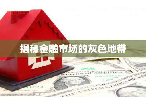 盐埕揭秘金融市场的灰色地带