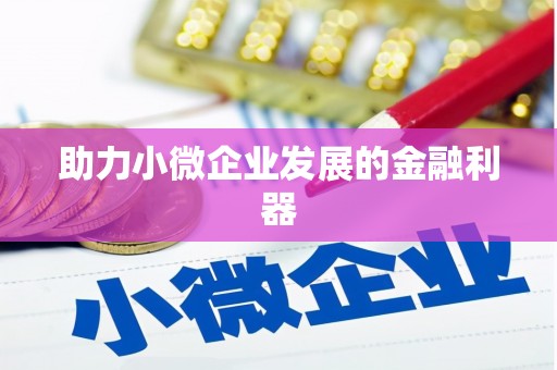 盐埕助力小微企业发展的金融利器