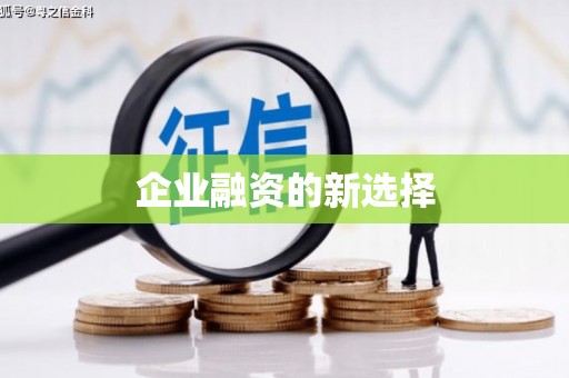 盐埕企业融资的新选择