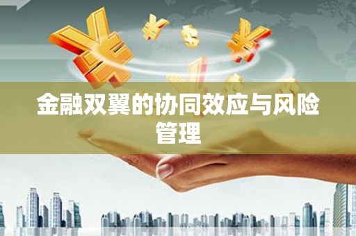 盐埕金融双翼的协同效应与风险管理