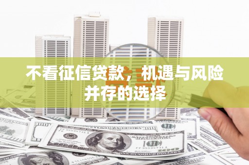 盐埕不看征信贷款，机遇与风险并存的选择