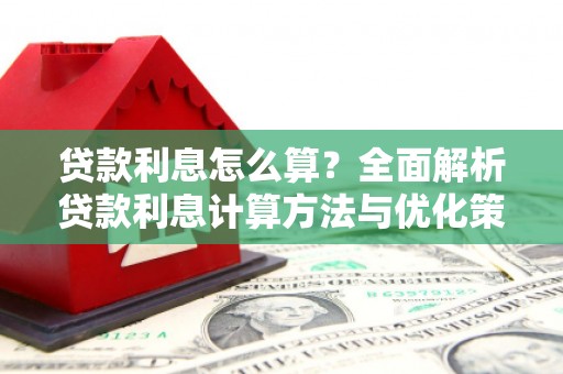 盐埕贷款利息怎么算？全面解析贷款利息计算方法与优化策略