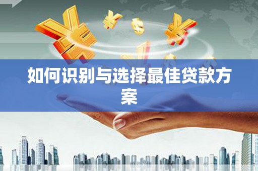 盐埕如何识别与选择最佳贷款方案