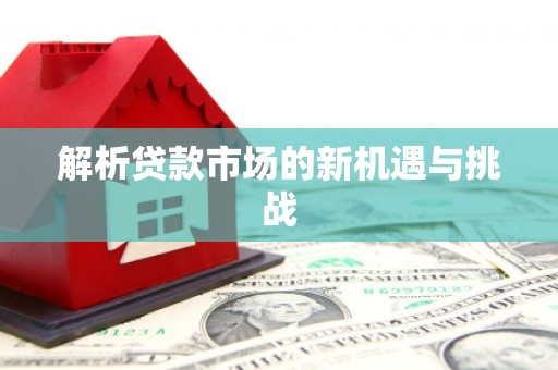 盐埕解析贷款市场的新机遇与挑战