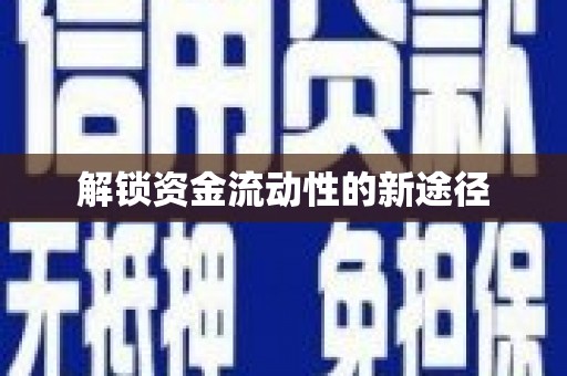 盐埕解锁资金流动性的新途径