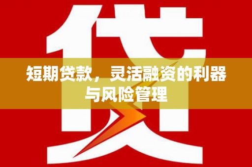 盐埕短期贷款，灵活融资的利器与风险管理